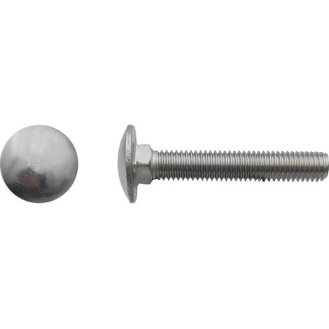 Vis tête ronde collet carré (TRCC) Inox A2 - 12 x 35 mm - BIVI