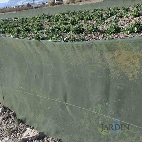 Rete Frangivento per la Protezione delle Colture e delle Piante 2 x 100 m, verde