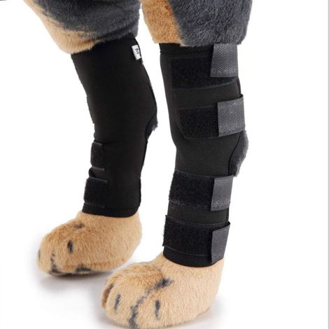 Staffe specifiche per cani (coppia) - Staffe per zampe posteriori - Proteggono la guarigione delle ferite - Benda compressiva - Supporto extra - Staffe per zampe anteriori - Prevengono lesioni - Allev