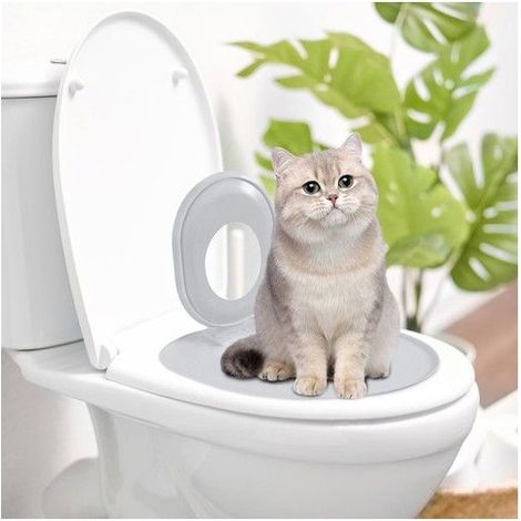 Kit de propreté pour chat - Apprentissage progressif - Forme ergonomique - Réduction des odeurs (1/5)