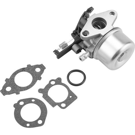 Carburateur pour Moteur Briggs & Stratton (591137, 590948) - Séries 111P02, 121Q02 (1/5)
