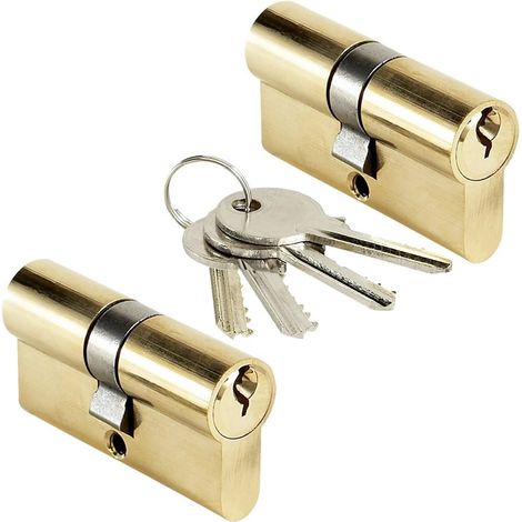 Lot 2 cylindres de porte 30x30 mm Barillet s'entrouvrant BRICARD 4 clés
