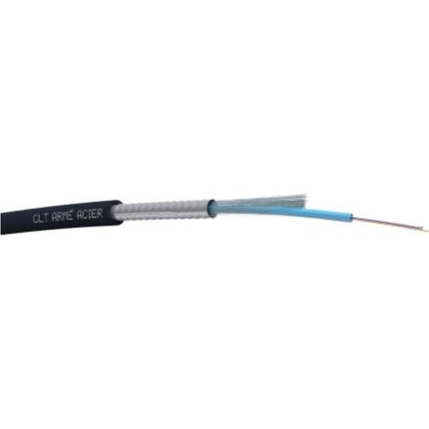 Cavo fibra ottica 12 fibre Multimodale 50/125 OM3 Armato Acome B1169A