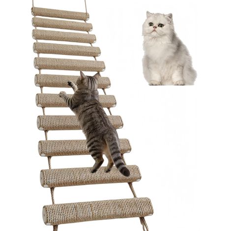 Échelle pour Chat, Pont-échelle Mural pour Chaton Structure d'escalade en Corde de Sisal Arbre a Chat Mural Cadre d'escalade Meubles pour Animaux de Compagnie (Kaki, 150 cm, 1) (1/5)