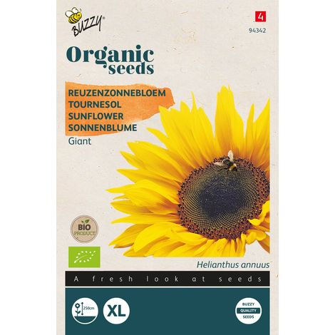 Buzzy Organic Tournesol Géant- Bio Semences - Ca. 3 gr (Livraison (1/2)