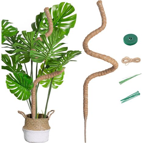 1 - Tuteur Plante - Fibre De Coco - Piquet Pliable 7mm Pour Croissance Verticale Monstera Jardin Intérieur Et Extérieur Marron 160cm (1/5)
