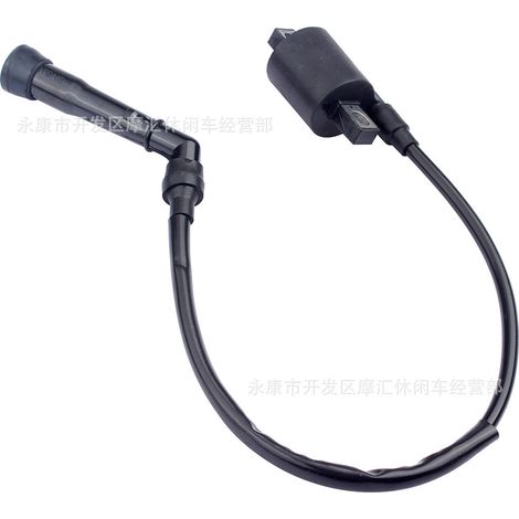 ATV compatible with YAMAHA GRIZZLY 450, YFM125, YFM45F, and YFM600 high-voltage coil ignition coils (1/4)