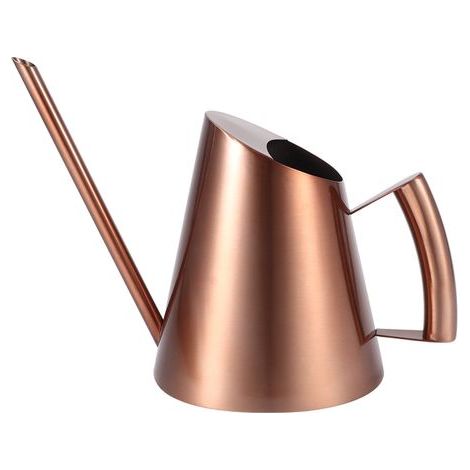 Arrosoir domestique en acier inoxydable, Pot de jardin, plante verte, fleur, bouilloire d'arrosage BronzeM (1/5)