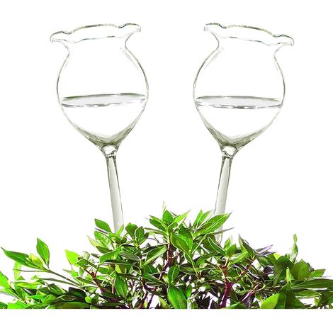 Lot de 2 ampoules auto-irriguées en verre transparent, soufflées à la main, pour l'entretien des plantes d'intérieur et d'extérieur, faciles à remplir. (1/5)