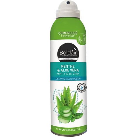 Boldair Deodorante Compresso Menta e Aloe 250ml - Boldair