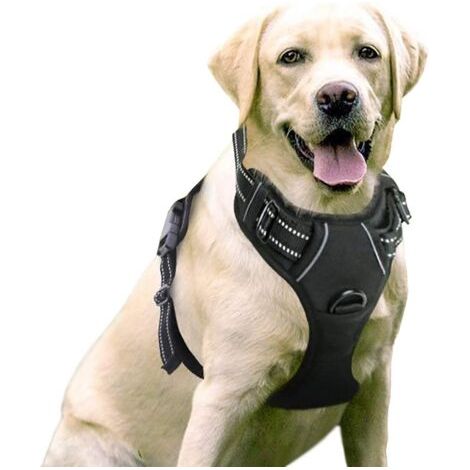 VtiziklHarnais Chien Réglable Gilet Chien avec Poignée Contrôle Harnais Réfléchissant Matériau Respirante Durable Couleur Noir Taille XL-Ensoleillé