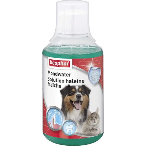 Solution buccafresh 250 ml Beaphar (1/2)
