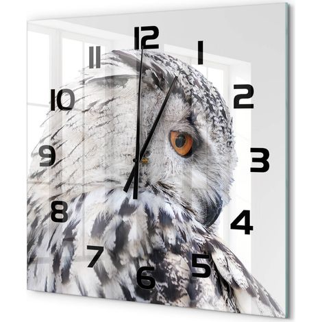 Grande Horloge Murale Carrée Sans Cadre en Verre Trempé Silencieuse et Moderne Hibou blanc 60x60 cm (1/5)