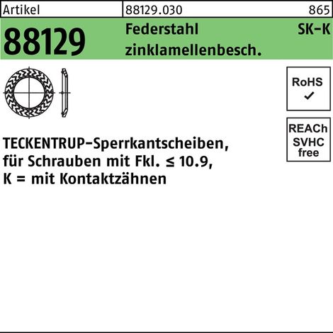 Sperrkantscheibe R 88129 K 12x24,25x1,6 Federst. zinklamellenb. 100St TECKENTRUP