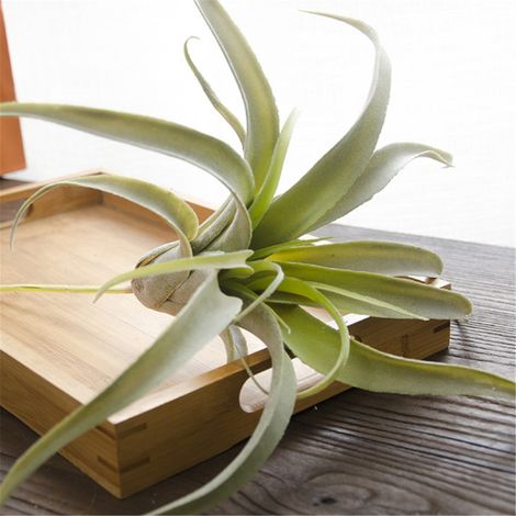 Nuevas plantas artificiales de piña de ratán, 6 tipos, plantas verdes simuladas, decoración de pared para bodas, hogar u oficina, 1 pieza