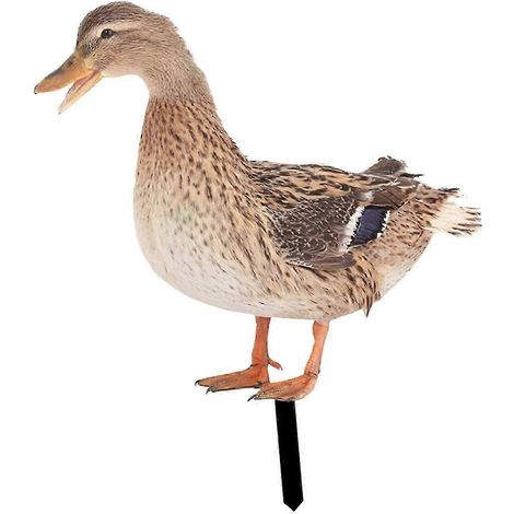 Décoration de jardin canard à piquer, panneau plat, décoration de sol réaliste pour patio, carte acrylique-Style A (1/5)