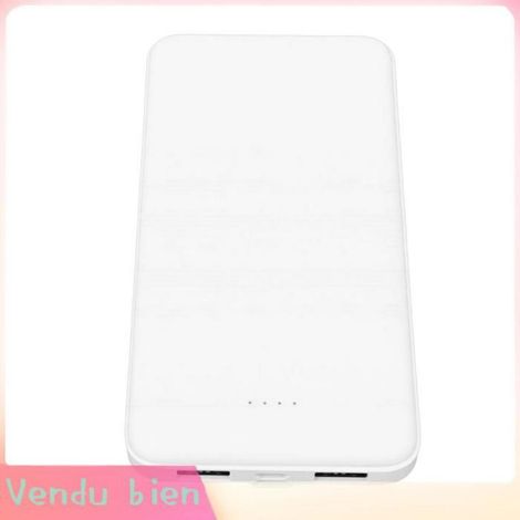 Garosa Batterie externe pour gilet chauffant Gilet Chauffant Power Bank 10000mAh Batterie Chargeur Portable avec luminaire statue (1/5)