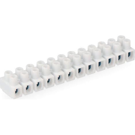 Réglette Raccordement Edm Blanche Connexion électrique Sécurisée 2.5-4mm2 - Edm (1/3)