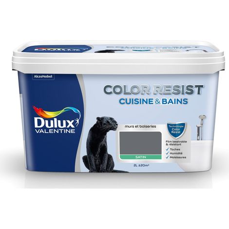 Peinture Color Resist Cuisine & Bains Satin Anthracite 2 L - Dulux Valentine