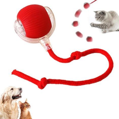 Chewie Rolling Ball, interaktives Katzenspielzeug, automatischer wiederaufladbarer elektrischer Ball, interaktiver Hundeball