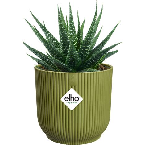 Vaso Vibes Fold Round Mini D 11cm H 11cm Verde felce ELHO