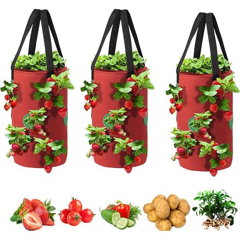 Set de 3 Macetas Colgantes Invertidas para Fresas y Tomates, Bolsas de Cultivo Duraderas y Transpirables, Ideales para Balcón, Terraza, Pérgola – Jardinería Vertical sin Contacto con el Suelo (1/5)