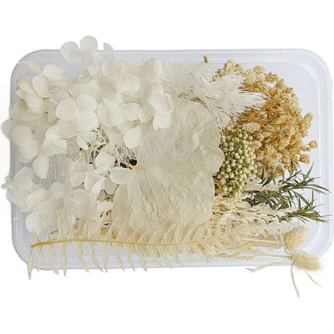 Les fleurs séchées sont exquises, magnifiques et écologiques, avec des couleurs adaptées aux loisirs créatifs et à la décoration intérieure.