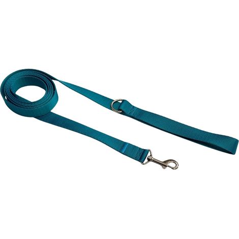 Correa para perro tradicional de 2,5 cm, color turquesa, cierre. Correa para perro tradicional de 2,5 cm, color turquesa, cierre M - 1,5 m (1/4)