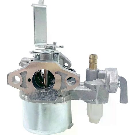 Carburateur 694928 796447 compatible avec les moteurs BRIGGS & STRATTON 122332 INTEK PRO 6HP (remplacement pour souffleuse à neige). (1/4)