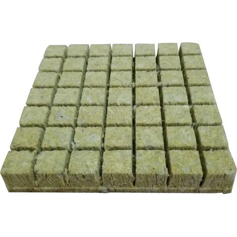 Plantes Esponja Plantada Planta De Cultivo 36x40mm (1/5)