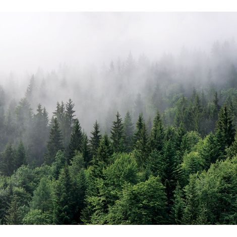 papier peint panoramique montagnes avec des arbres vert - Sanders & Sanders (1/3)