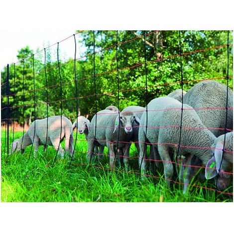 Maille lectrifiable Kerbl pour mouton, 108 cm x 50m (1/2)