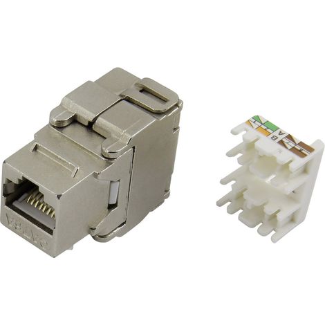 TRU COMPONENTS 93013c1179 Modularbuchse, werkzeuglos 1425903 Buchse, gerade    Metall 1 St.