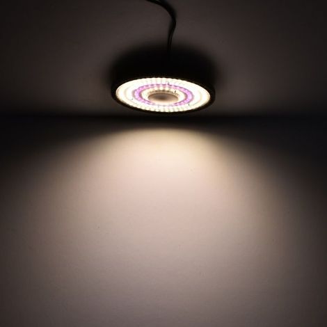 Lampe de croissance LED 100 W – Éclairage complet pour plantes d’intérieur, succulentes et fleurs – Lumière solaire complémentaire pour culture en intérieur