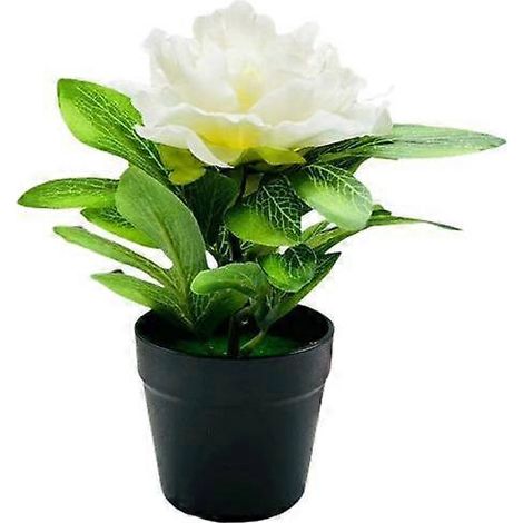 Pivoine artificielle en pot, centre de table pour la maison, le bureau ou le salon, plante florale artificielle, bonsaï d'intérieurblanc (1/5)