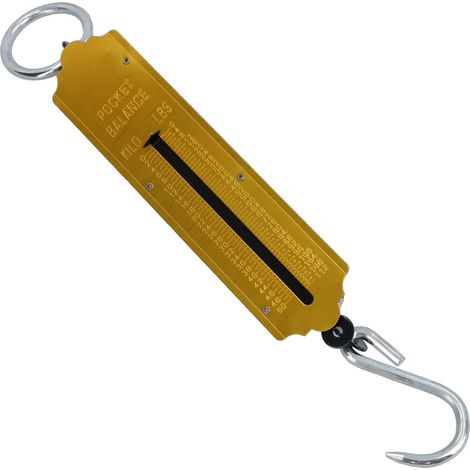 Assurance/Pêche Pocket Balance à ressort Balance 50KG (1/5)