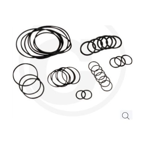 O-Ring-Satz bis Serien-Nr. 182013001 für Membranpumpe AR 813 ANNOVI 67043020
