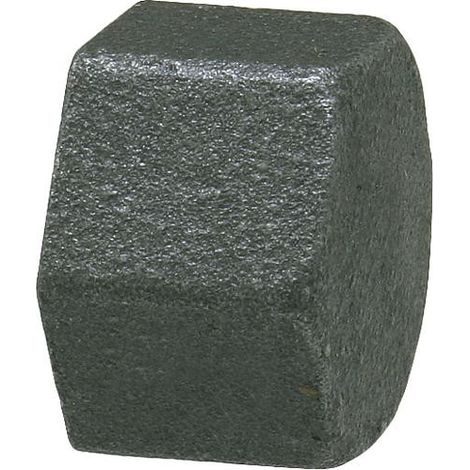Raccord en fonte malleable, noir Bouchon 3/4" Type 300, polygonal
