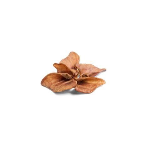 Pf Pig Ears - 808780 (1/2)