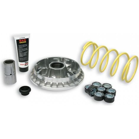 malossi variator für roller suzuki 400 burgman 1999 bis 2006