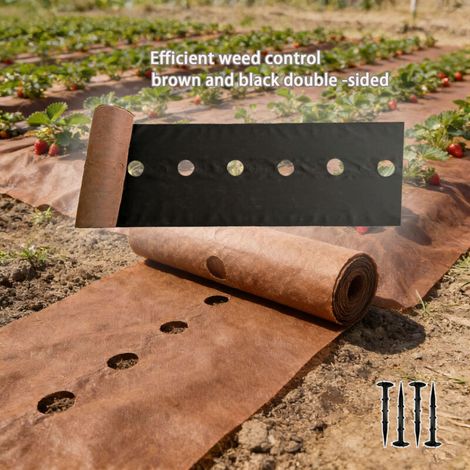 Lot de 10 Clôtures de Jardin Décoratives 33 × 43 cm – Panneaux Métal Antirouille, Barrière Fleurie Sans Fouille (1/5)