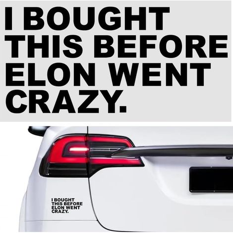 Autocollant pour voiture, « I Bought This Before Elon Went Crazy » pour fenêtres ou vernis, pare-chocs, en vinyle, durable et résistant aux intempéries, motif de regret (Noir) (1/4)