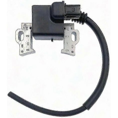 Module de bobine d'allumage numérique avec connecteur à quatre broches compatible avec les petits moteurs (1/5)