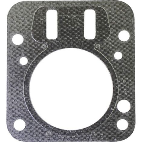 Guarnizione testa BRIGGS &ampamp STRATTON -698210