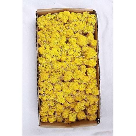 Décoration murale en mousse préservée. Véritable mousse préservée. Aucun entretien requis. Mousse naturellement préservée - Jaune moyen. (1/5)