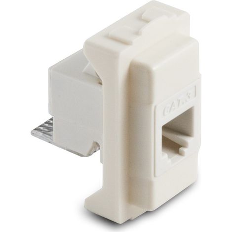 Master presa rj12 plug 6-4 6095