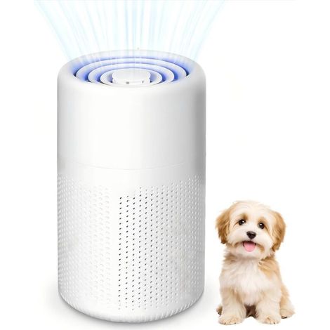 Luftreiniger für Allergiker mit Aktivkohlefilter – Tragbar, USB-Anschluss – 5-Watt-Filter – Leise – Gegen Tierhaare und Gerüche – Für Zuhause, Auto, Büro – Bis zu 10 m²