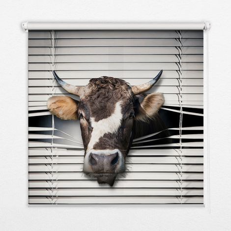 Innenrollo Fensterrollo - Rollo ohne Bohren - Sichtschutzrollo - Lichtdurchlässiges Rollo - Rechteckiges - Rollo - (140 cm x 140 cm) - Kuh