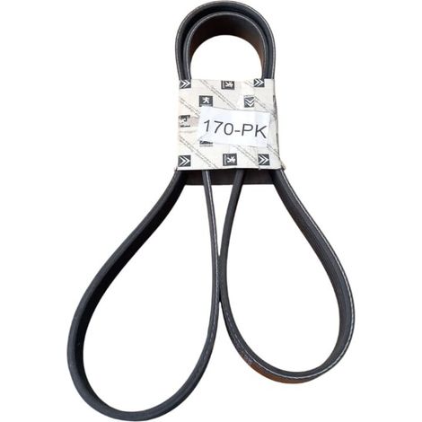 6pk1356 cinghia poly-v alternatore servizi originale (1/5)