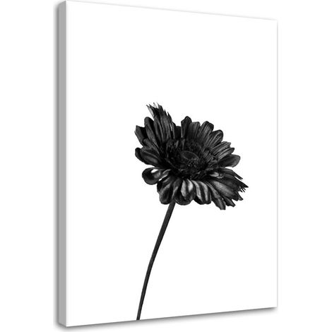 Tableau sur toile Fleurs Nature Noir Blanc 40x60 (1/5)